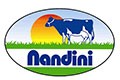 Nandhini